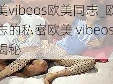 欧美vibeos欧美同志_欧美同志的私密欧美 vibeos 大揭秘