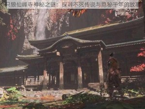 只狼仙峰寺神秘之谜：探寻不死传说与隐秘千年的故事