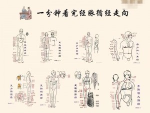 《经脉系统操作新手入门：全解析与实用教程》