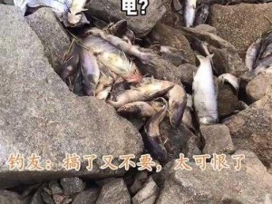 死鱼冒充活鱼的案例-如何识别死鱼冒充活鱼的案例？