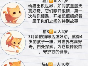 可爱宝贝爱猫咪;可爱宝贝为何独爱猫咪？