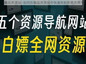 精品资源站—如何在精品资源站中快速找到所需资源？