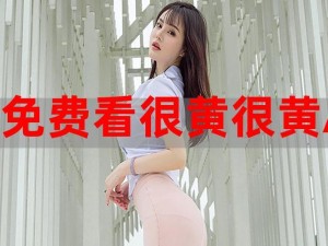 叉叉叉叉169黄【叉叉叉叉 169 黄是什么？有什么用？】