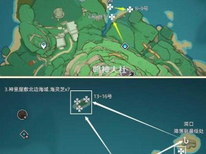 原神枫原万叶突破材料采集攻略：海灵芝最新采集路线汇总大全