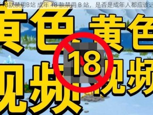 成年18款禁用B站 成年 18 款禁用 B 站，是否是成年人都应该远离？