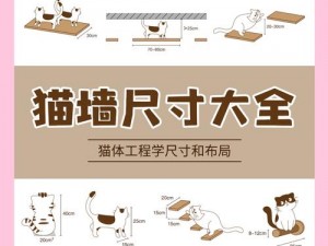 猫博物馆Cat Museum安装指南及配置说明手册：打造理想的猫咪文化体验空间