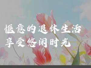 老王的快乐生活,老王的快乐生活：退休后的多彩日常