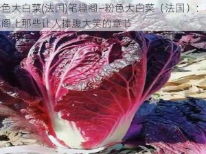 粉色大白菜(法国)笔趣阁—粉色大白菜（法国）：笔趣阁上那些让人捧腹大笑的章节