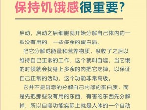 一小时人生饥饿难题破解之道——探寻永恒的饱腹之策