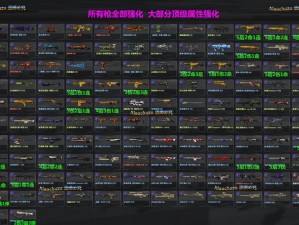 暴躁老阿姨 CSGO 游戏装备大揭秘