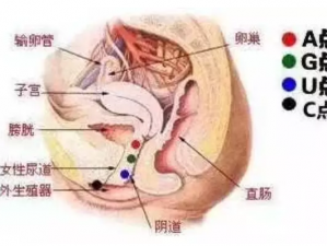 女人高潮后为什么全身瘙痒呢？试试[]，让你告别瘙痒