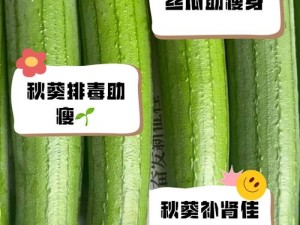 绿巨人草莓丝瓜樱桃秋葵榴莲污有什么特别之处—绿巨人草莓丝瓜樱桃秋葵榴莲污有什么特别之处？