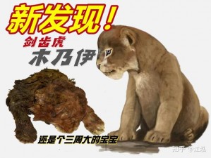 太极熊猫3猎龙剑齿虎全面解析：剑齿虎技能属性详细介绍与实战体验