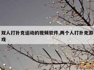 免费剧烈运动扑克视频软件大全，汇聚多款精彩视频，让你尽情享受运动与扑克的激情碰撞