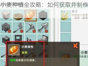 迷你世界小麦种植全攻略：如何获取并制作一捆小麦？