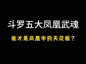 《斗罗大陆：全武魂大全集》