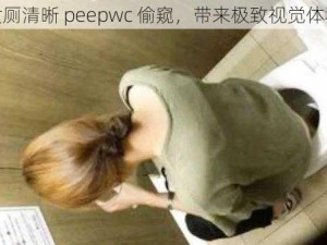 女厕清晰 peepwc 偷窥，带来极致视觉体验