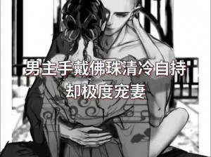 一颗一颗的放入佛珠双男主-男主将佛珠一颗一颗放入对方衣领