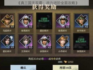 《真三国无双霸：战力进阶全面攻略》