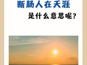 海角乱怆破解;如何破解海角乱怆？