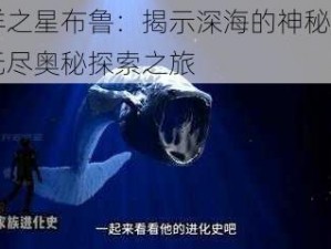 海洋之星布鲁：揭示深海的神秘魅力与无尽奥秘探索之旅