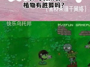 双雄植物争霸对决：探寻最佳组合之秘密