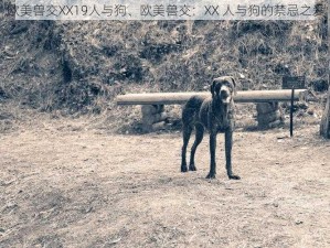 欧美兽交XX19人与狗、欧美兽交：XX 人与狗的禁忌之爱