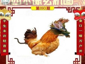 无人一码二码三码4码免费、无人一码二码三码 4 码免费，是真的吗？