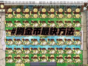 找你妹刷金币的高效策略：解锁大量金币获取方法与技巧分享