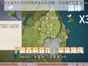 原神41版本塞西莉亚花高效采集路线攻略：花朵盛开位置与高效采摘指南