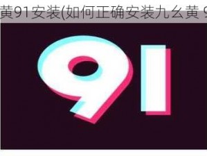 九幺黄91安装(如何正确安装九幺黄 91？)