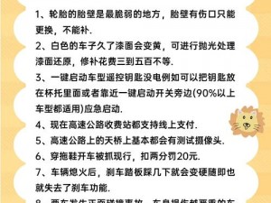 玩转驾驶之旅：探究做个老司机的乐趣与简介