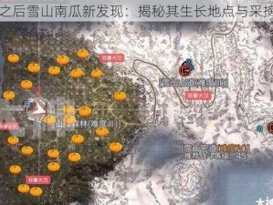 明日之后雪山南瓜新发现：揭秘其生长地点与采摘攻略