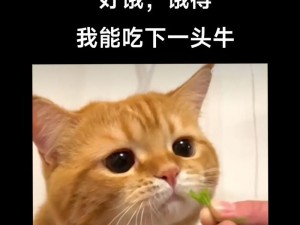 下面饿了要吃大肠喝牛奈,：饿了怎么办？下面饿了要吃大肠喝牛奈