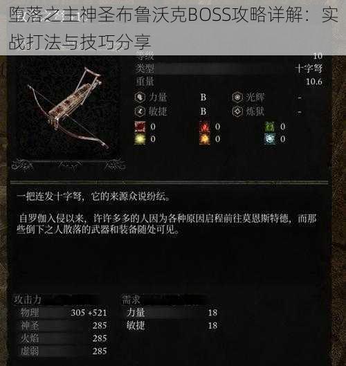 堕落之主神圣布鲁沃克BOSS攻略详解：实战打法与技巧分享