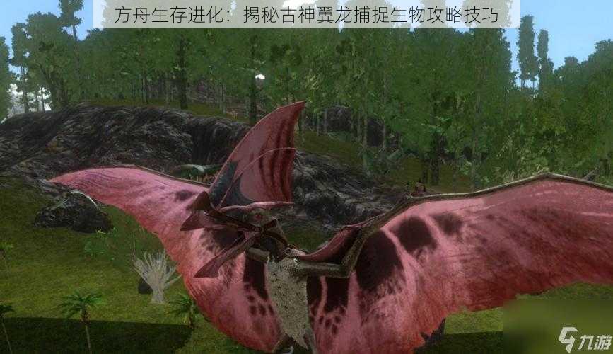 方舟生存进化：揭秘古神翼龙捕捉生物攻略技巧