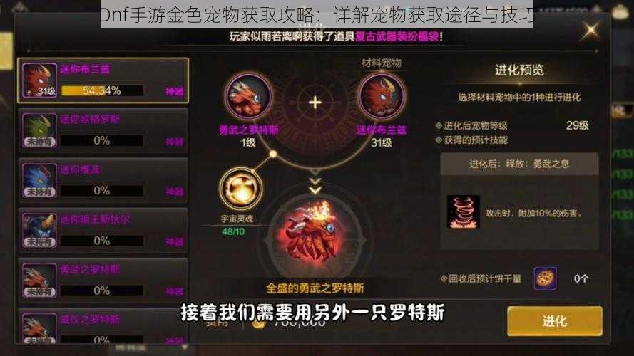 Dnf手游金色宠物获取攻略：详解宠物获取途径与技巧