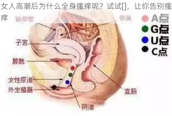 女人高潮后为什么全身瘙痒呢？试试[]，让你告别瘙痒