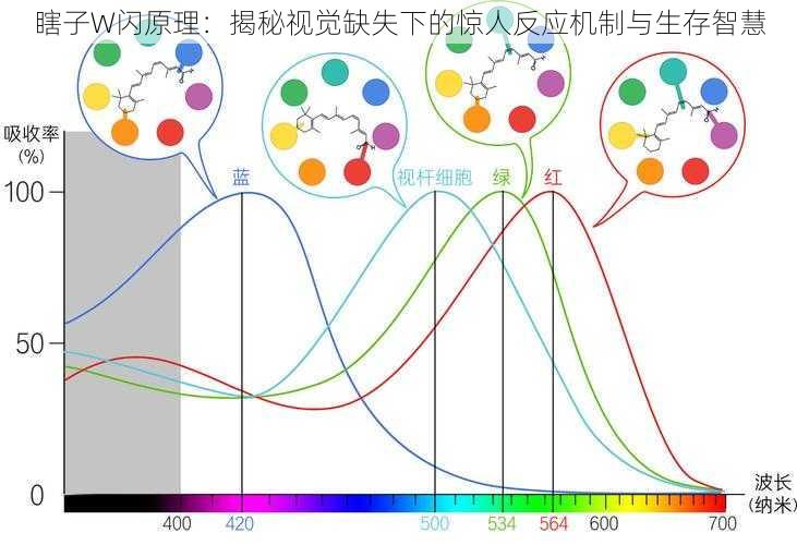 瞎子W闪原理：揭秘视觉缺失下的惊人反应机制与生存智慧