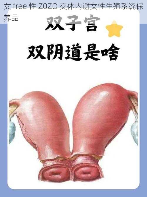 女 free 性 Z0ZO 交体内谢女性生殖系统保养品