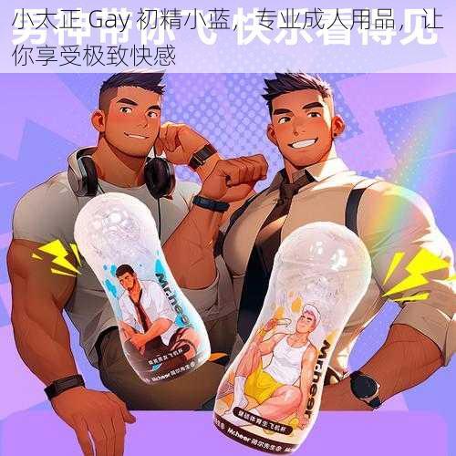 小太正 Gay 初精小蓝，专业成人用品，让你享受极致快感