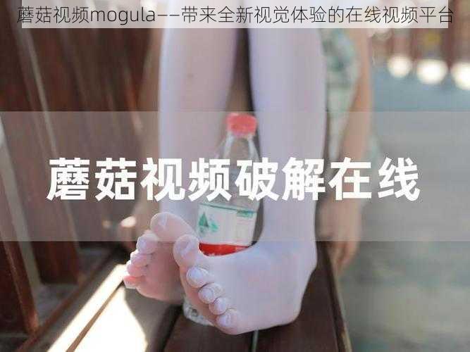 蘑菇视频mogula——带来全新视觉体验的在线视频平台