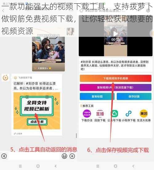 一款功能强大的视频下载工具，支持拨萝卜做钢筋免费视频下载，让你轻松获取想要的视频资源