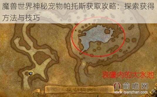 魔兽世界神秘宠物帕托斯获取攻略：探索获得方法与技巧