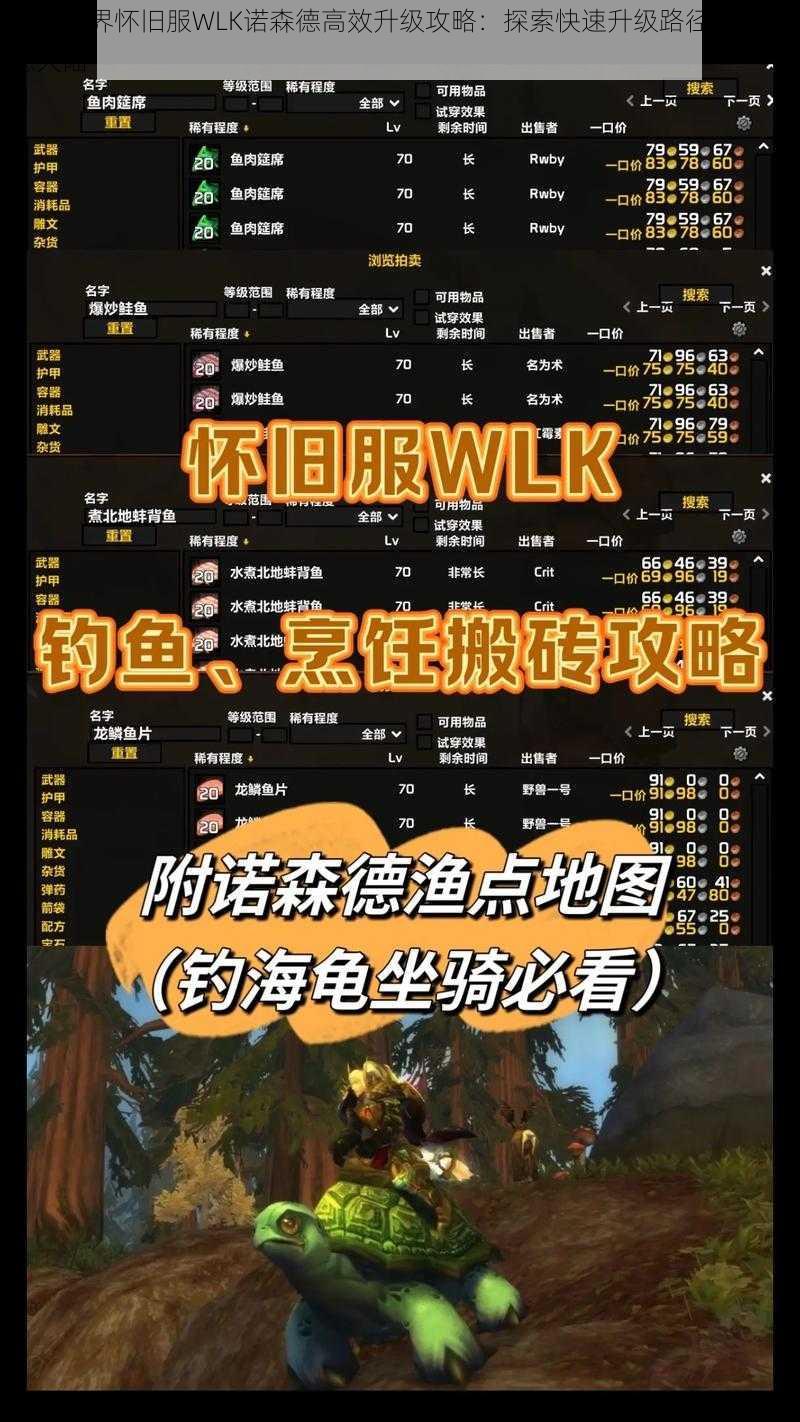 魔兽世界怀旧服WLK诺森德高效升级攻略：探索快速升级路径于诺森德大陆