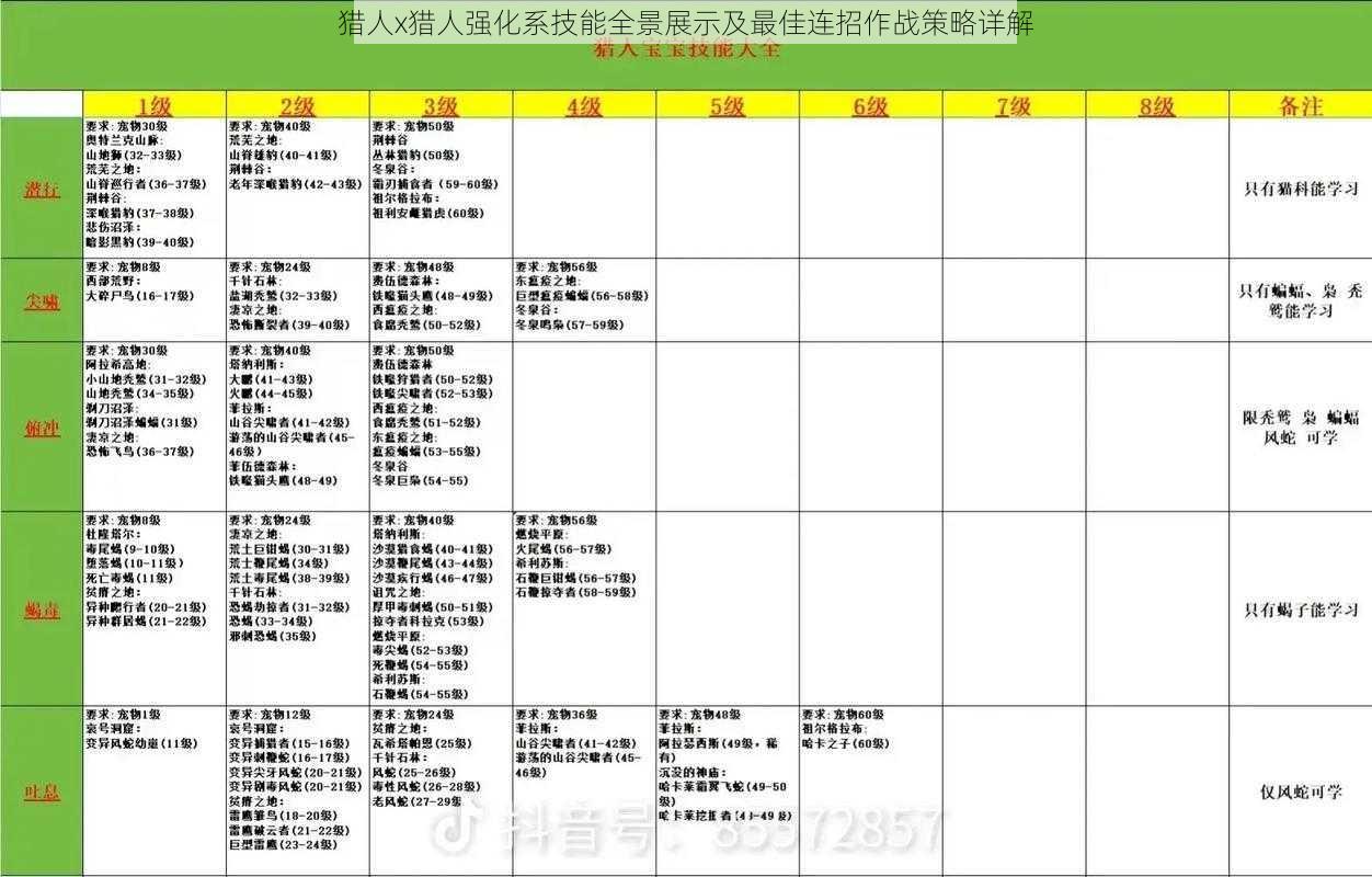 猎人x猎人强化系技能全景展示及最佳连招作战策略详解