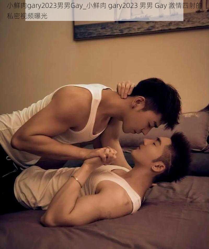 小鲜肉gary2023男男Gay_小鲜肉 gary2023 男男 Gay 激情四射的私密视频曝光