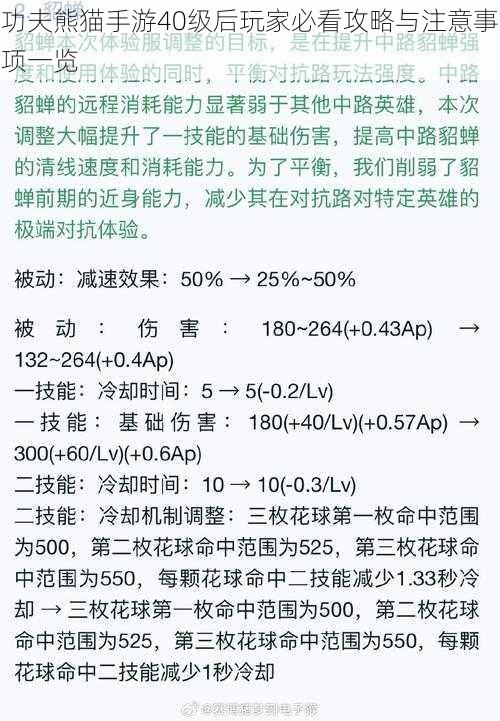 功夫熊猫手游40级后玩家必看攻略与注意事项一览