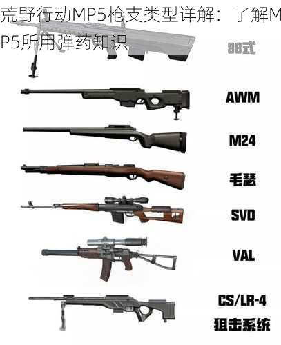 荒野行动MP5枪支类型详解：了解MP5所用弹药知识