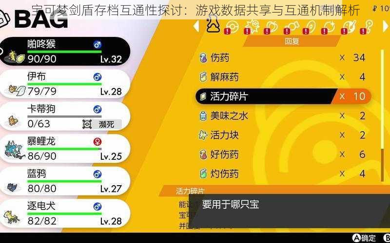 宝可梦剑盾存档互通性探讨：游戏数据共享与互通机制解析